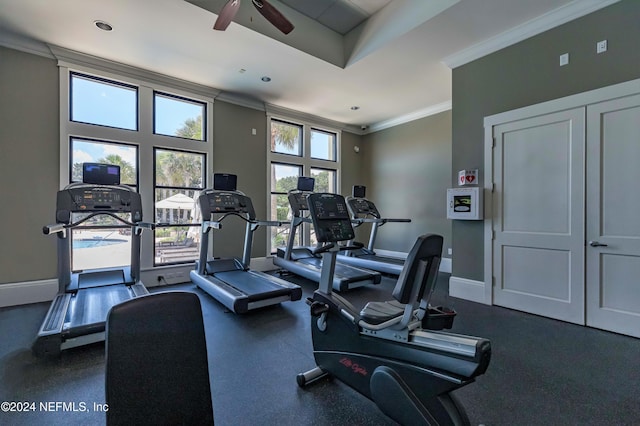 exercise room with ceiling fan and crown molding