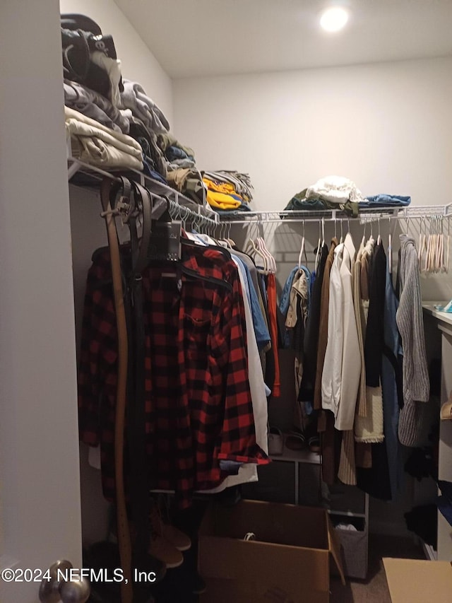 view of walk in closet