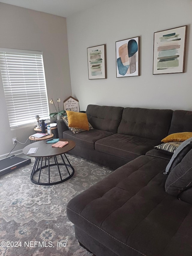 living room with carpet