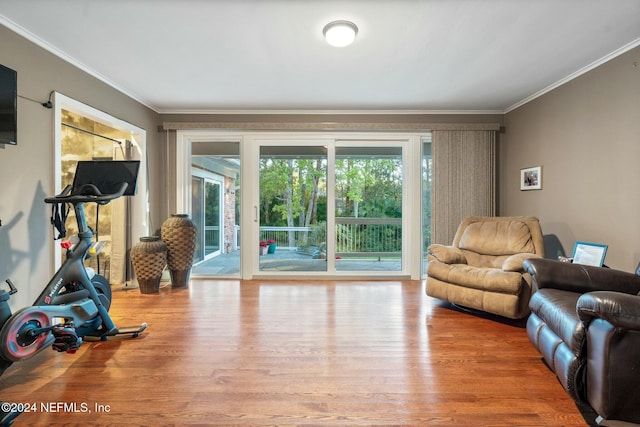 living room featuring light wood-type flooring, a wealth of natural light, and crown molding