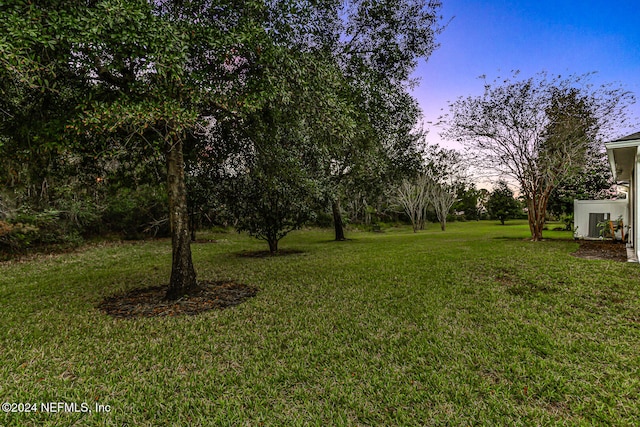 view of yard at dusk