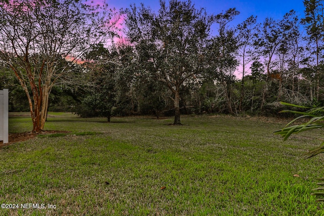 view of yard at dusk