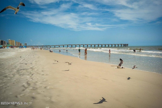 water view featuring a beach view