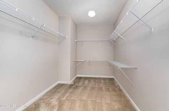 spacious closet with carpet flooring