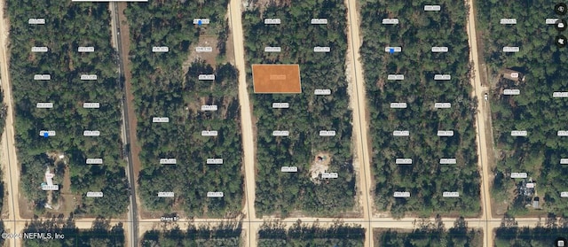 000 David Ave, Interlachen FL, 32148 land for sale