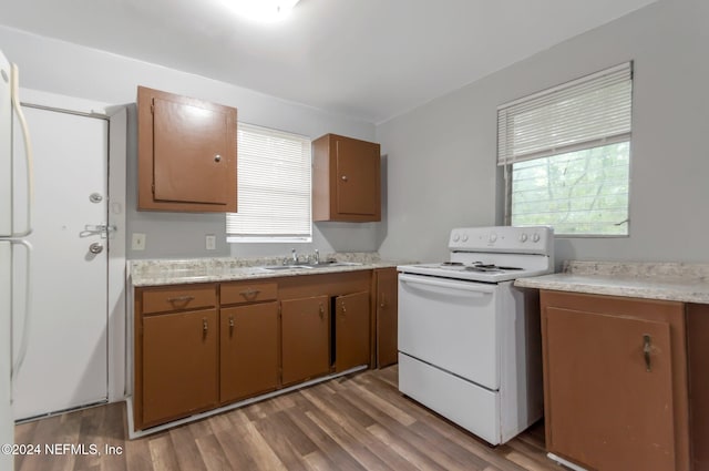 kitchen featuring white range with electric stovetop, sink, and light hardwood / wood-style flooring