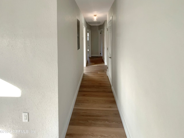 hall featuring wood-type flooring