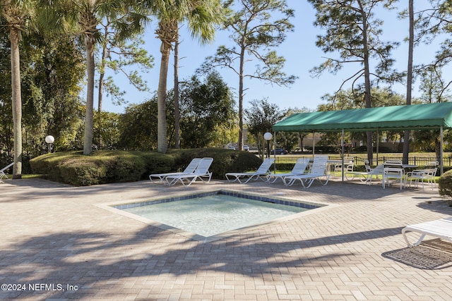 view of pool featuring a patio area