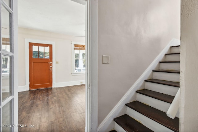 foyer entrance with dark wood-type flooring