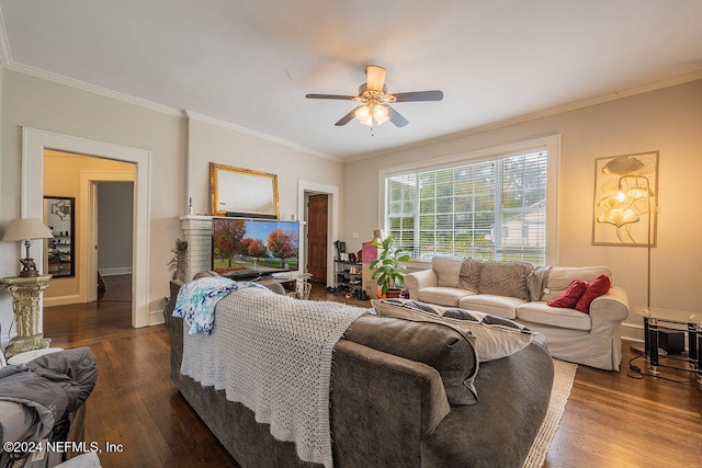 living room with dark hardwood / wood-style floors, ceiling fan, and ornamental molding