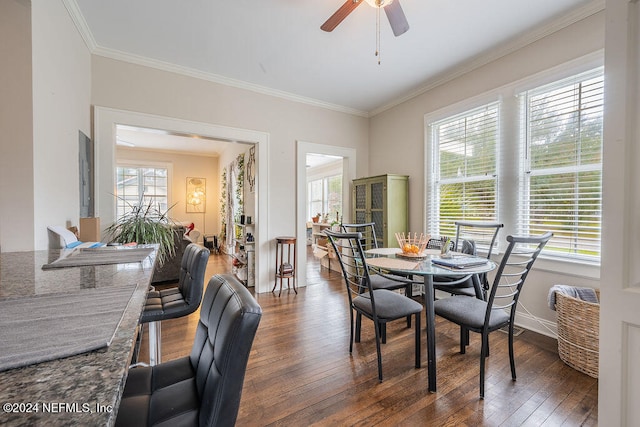 dining room featuring ceiling fan, dark wood-type flooring, a healthy amount of sunlight, and ornamental molding