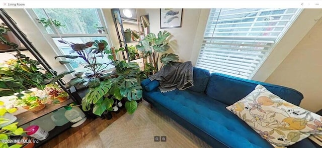 living area featuring wood-type flooring