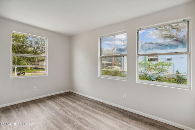 empty room featuring light hardwood / wood-style floors and a healthy amount of sunlight