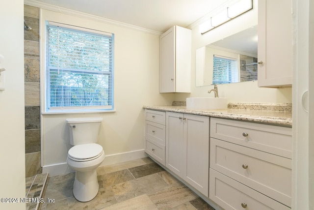 bathroom featuring vanity, toilet, and crown molding