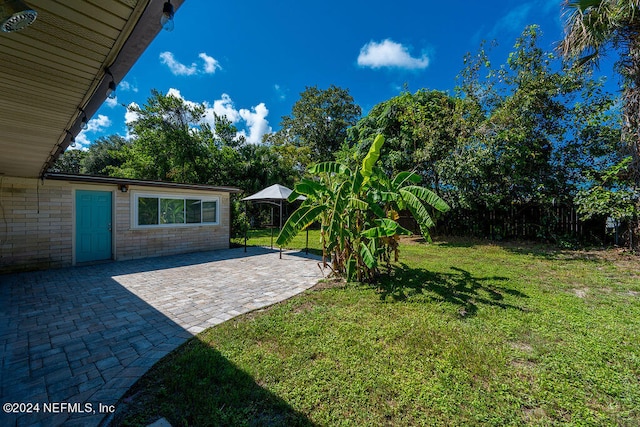 view of yard featuring a patio