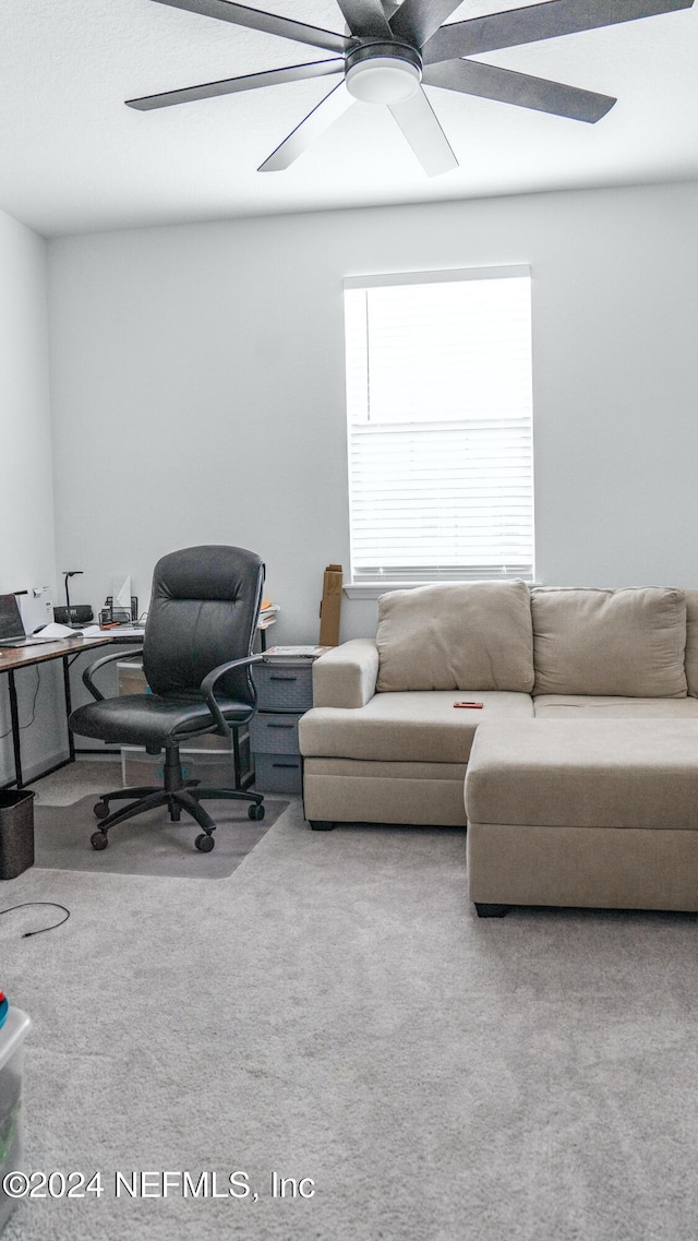 view of carpeted office space