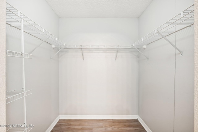 spacious closet featuring wood-type flooring