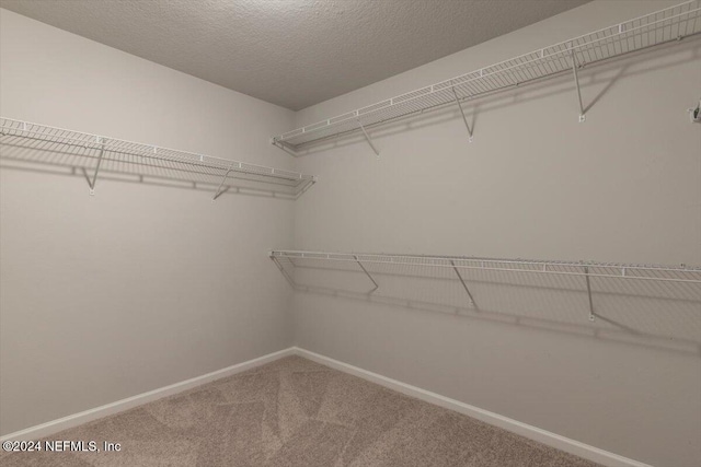 walk in closet featuring carpet flooring