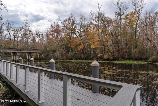 dock area with a water view