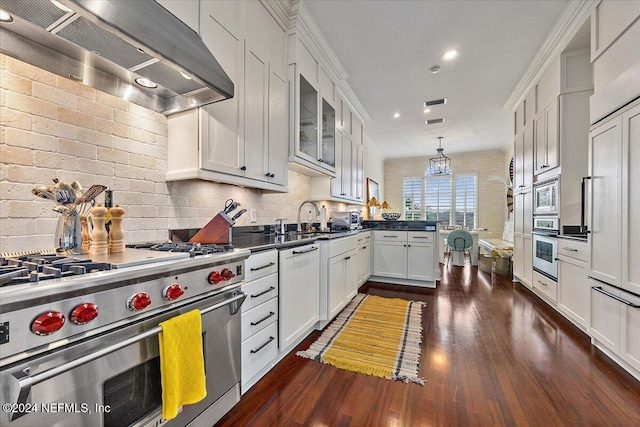 kitchen featuring sink, dark wood-type flooring, stainless steel appliances, ventilation hood, and white cabinets