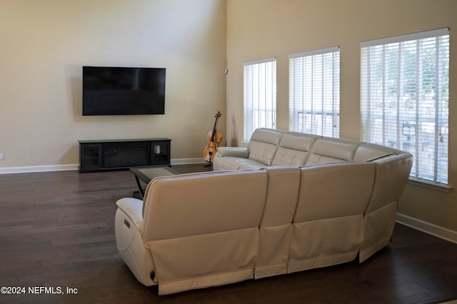 living room featuring dark wood-type flooring