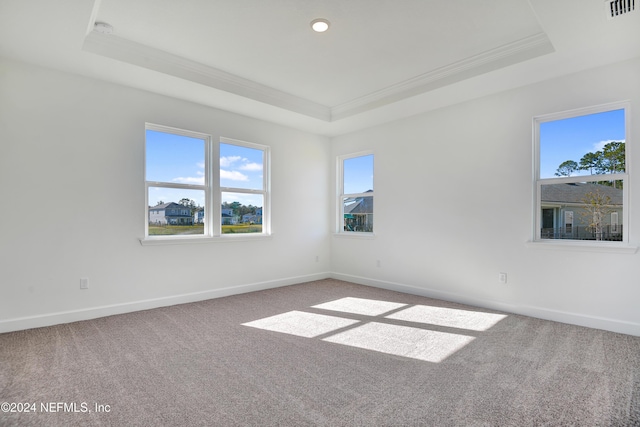 empty room featuring a tray ceiling and carpet floors