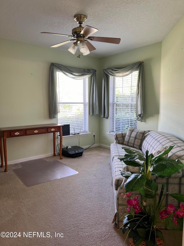 interior space featuring a wealth of natural light, ceiling fan, and a textured ceiling