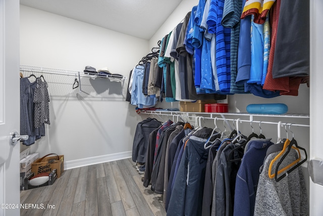 spacious closet with wood-type flooring