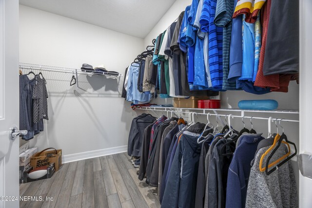 94 Hickory Pine Dr, Saint Augustine, FL 32092 - walk in closet with wood finished floors and lofted ceiling