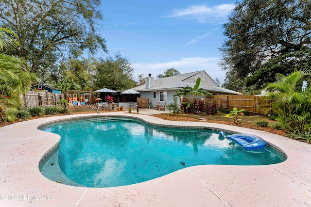 view of swimming pool featuring a patio