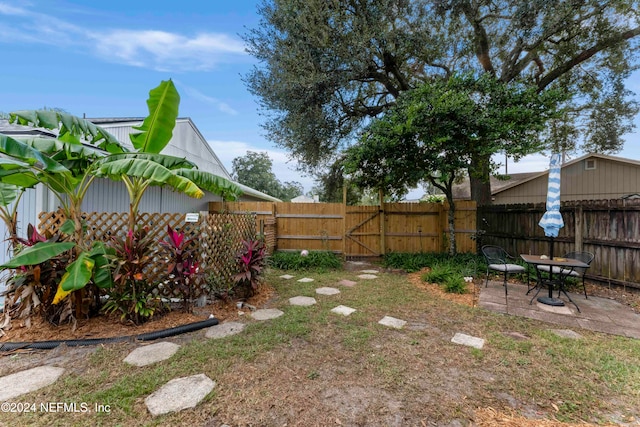 view of yard featuring a patio area