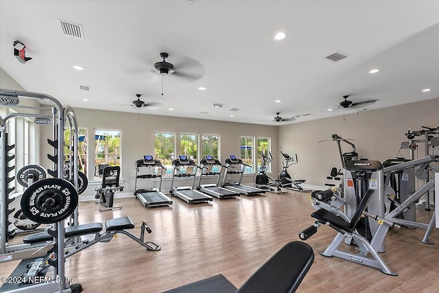 gym featuring ceiling fan and wood-type flooring