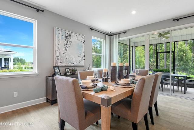 dining area featuring light hardwood / wood-style floors, ceiling fan, and a healthy amount of sunlight