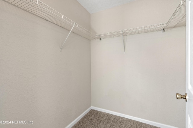 spacious closet with carpet