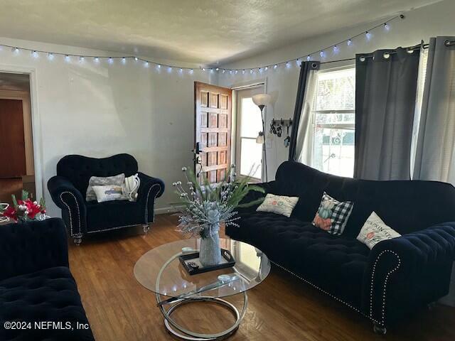 living room with hardwood / wood-style floors