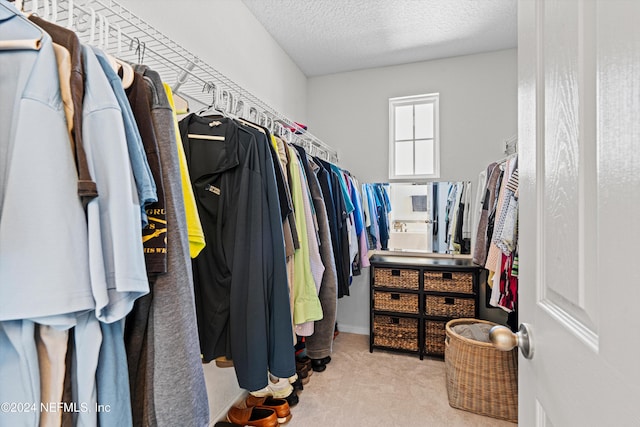 walk in closet featuring light carpet