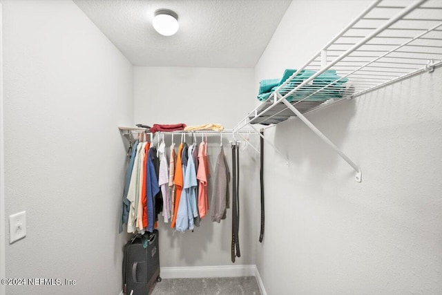 view of walk in closet