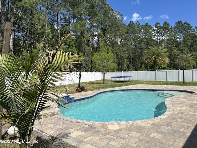 view of pool with a patio area, a fenced backyard, a trampoline, and a fenced in pool