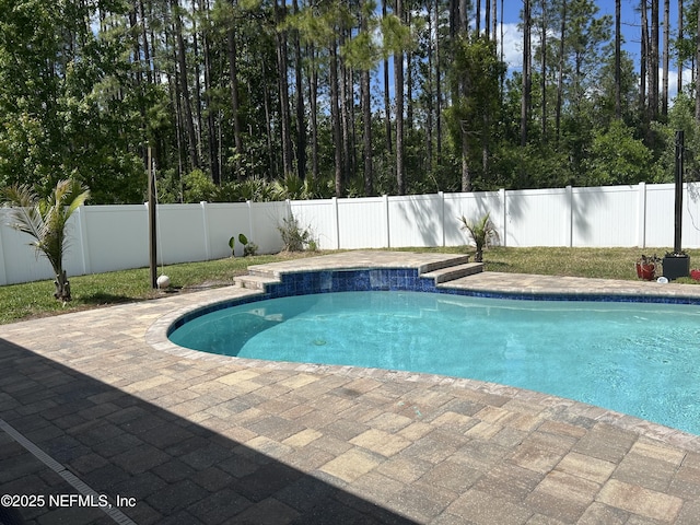 view of pool featuring a patio, a fenced backyard, and a fenced in pool
