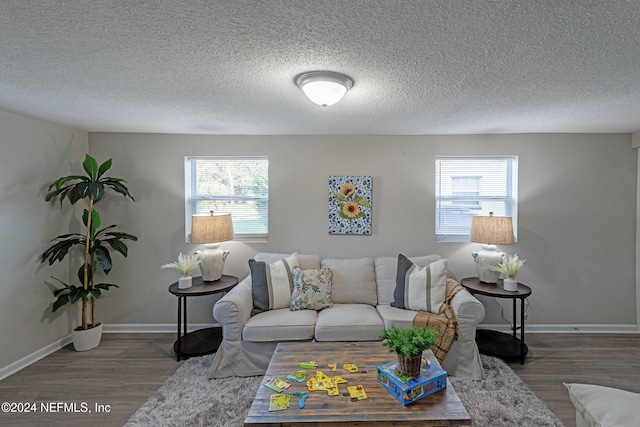 living room featuring a wealth of natural light, wood-type flooring, and a textured ceiling