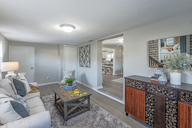 living room featuring wood-type flooring and a textured ceiling