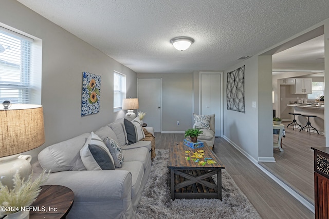 living room with wood-type flooring and a textured ceiling