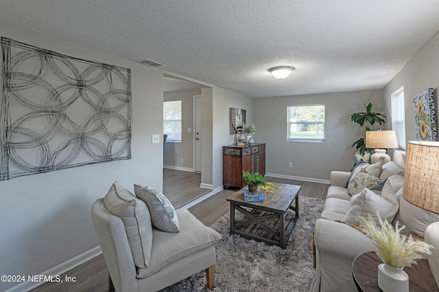 living room with dark wood-type flooring and a textured ceiling