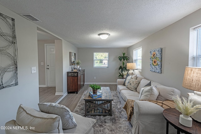 living room with hardwood / wood-style floors and a textured ceiling