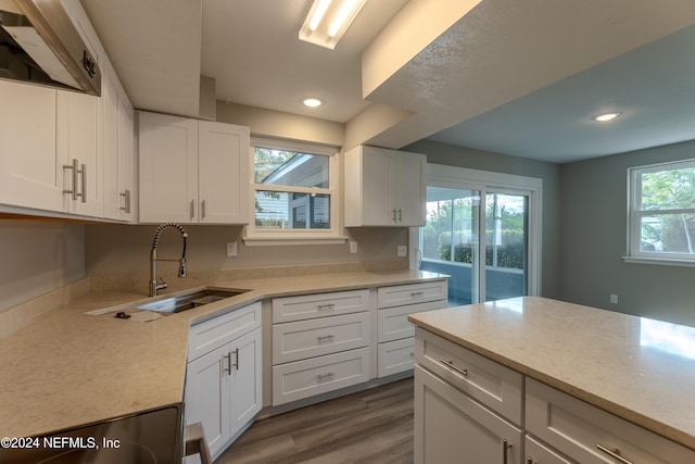 kitchen featuring white cabinets, plenty of natural light, and dark hardwood / wood-style flooring