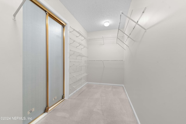 spacious closet featuring light carpet