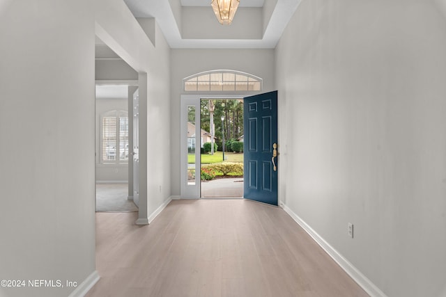 foyer with a high ceiling, a tray ceiling, and light hardwood / wood-style flooring