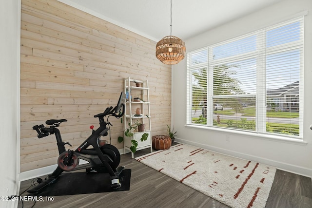 workout room featuring dark hardwood / wood-style floors and wooden walls