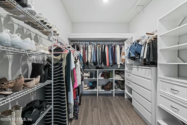 walk in closet featuring wood-type flooring