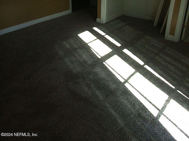 room details with carpet flooring